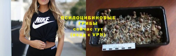 СК Абдулино