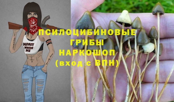 спайс Абаза